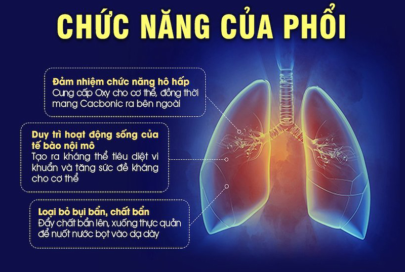 10 Thói quen khiến phổi 'chết dần chết mòn' phải bỏ ngay nếu muốn sống lâu 1